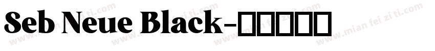 Seb Neue Black字体转换